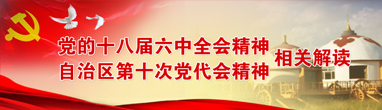 党的十八届六中全会和自治区第十次党代会精神相关解读