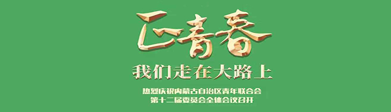 内蒙古自治区青年联合会第十二届委员会全体会议