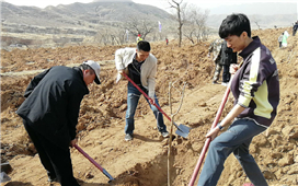 呼市回民区环河街道团工委开展青年植树志愿服务活动