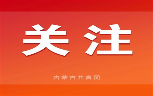 全区各级少先队组织集中开展“学习雷锋好榜样 争做新时代好队员”活动